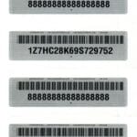 Whitlam Tamper Evident Label