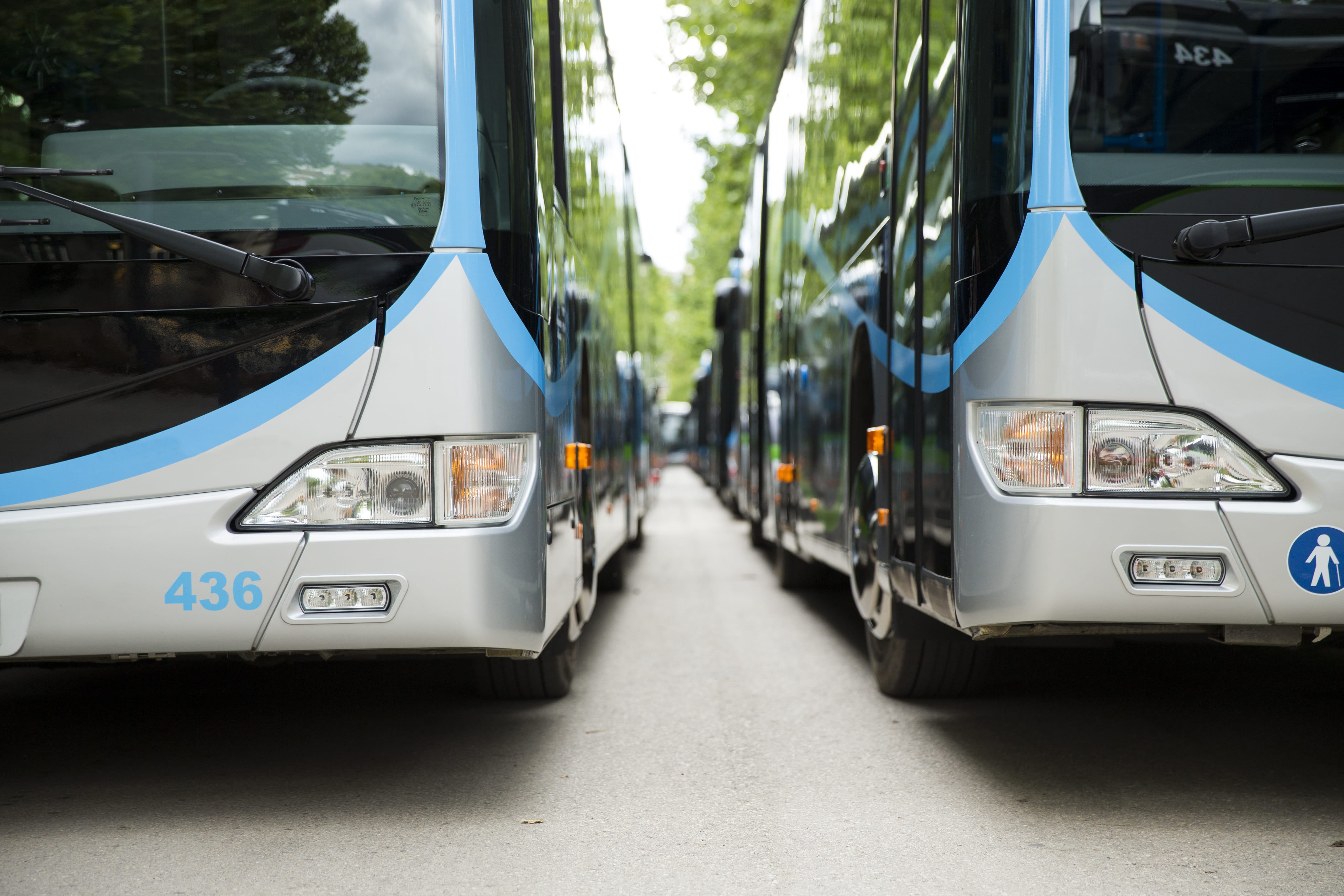 busses in a line